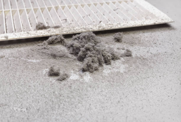 Best Professional Duct Cleaning Services  in Lindon, UT
