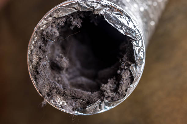 Best HVAC Maintenance and Cleaning  in Lindon, UT