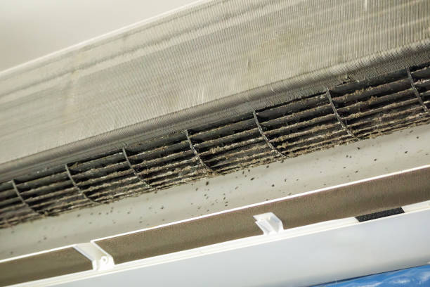 Best Best Air Duct Cleaning Company  in Lindon, UT